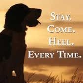 Stay. Come, Heel. Everytime.