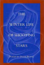 Winter Life of Shooting Stars