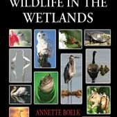 Wings and Wildlife in the Wetlands