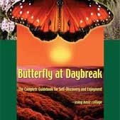 Butterfly At Daybreak