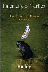 The Meter is Irregular, Volume 3 – Inner Life of Turtles