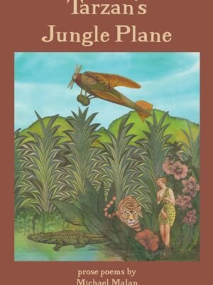 Tarzan's Jungle Plane