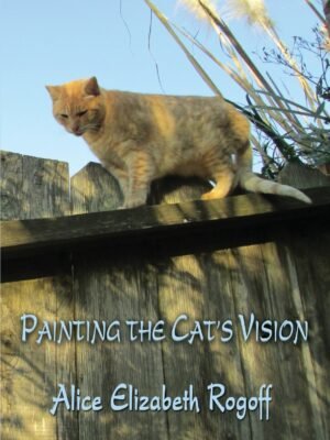Painting the Cat's Vision