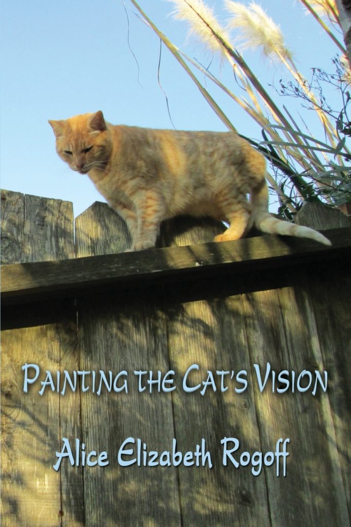 Painting the Cat’s Vision