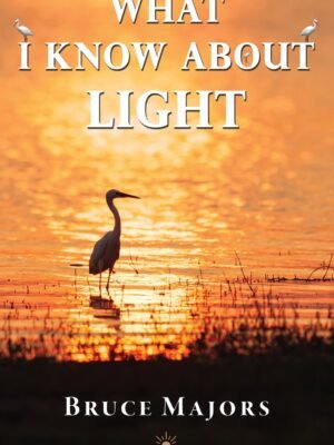 What I Know About Light