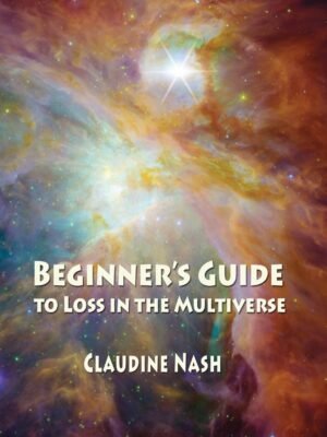 Beginner’s Guide to Loss in the Multiverse