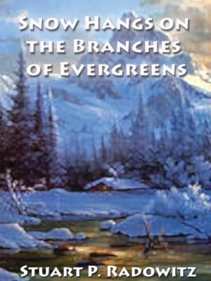 Snow Hangs on the Branches of Evergreens