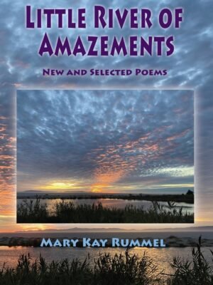 LITTLE RIVER OF AMAZEMENTS